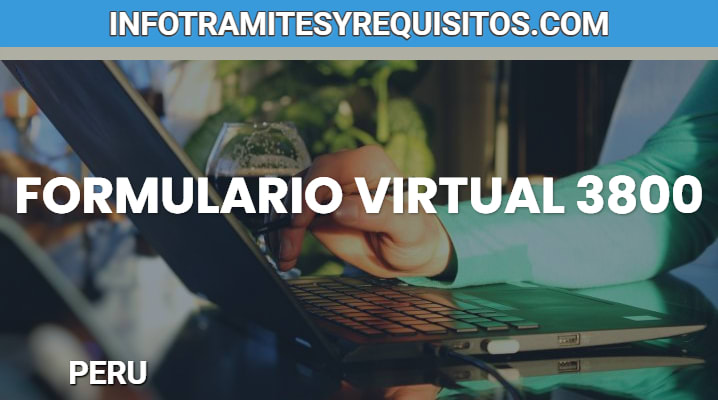 Formulario Virtual 3800