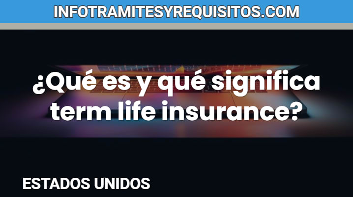 Que es Term Life Insurance			 			